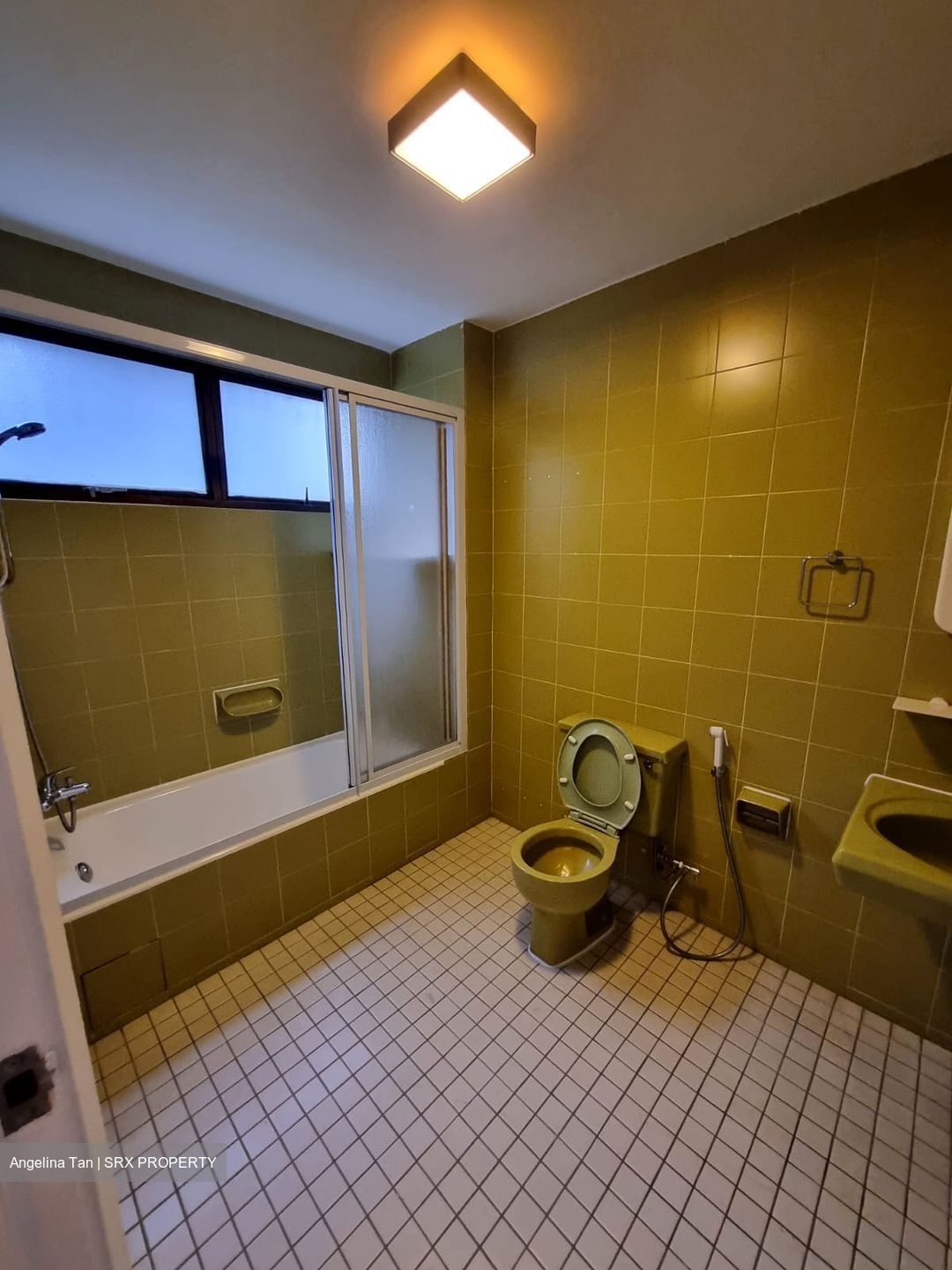 The Cairnhill (D9), Condominium #622697921